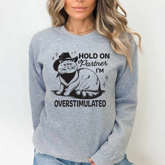 Hold On Partner I'm Overstimulated Cat Sweater