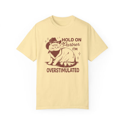 Hold On Partner I'm Overstimulated Cat T-Shirt