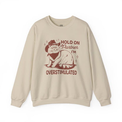 Hold On Partner I'm Overstimulated Sweater