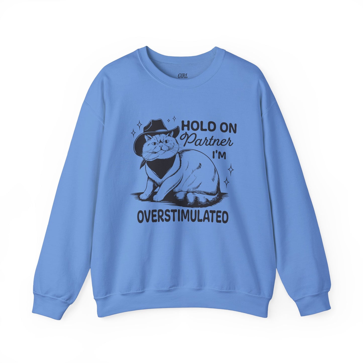 Hold On Partner I'm Overstimulated Sweater