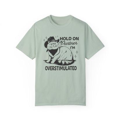 Hold On Partner I'm Overstimulated Cat T-Shirt