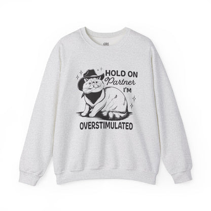 Hold On Partner I'm Overstimulated Sweater