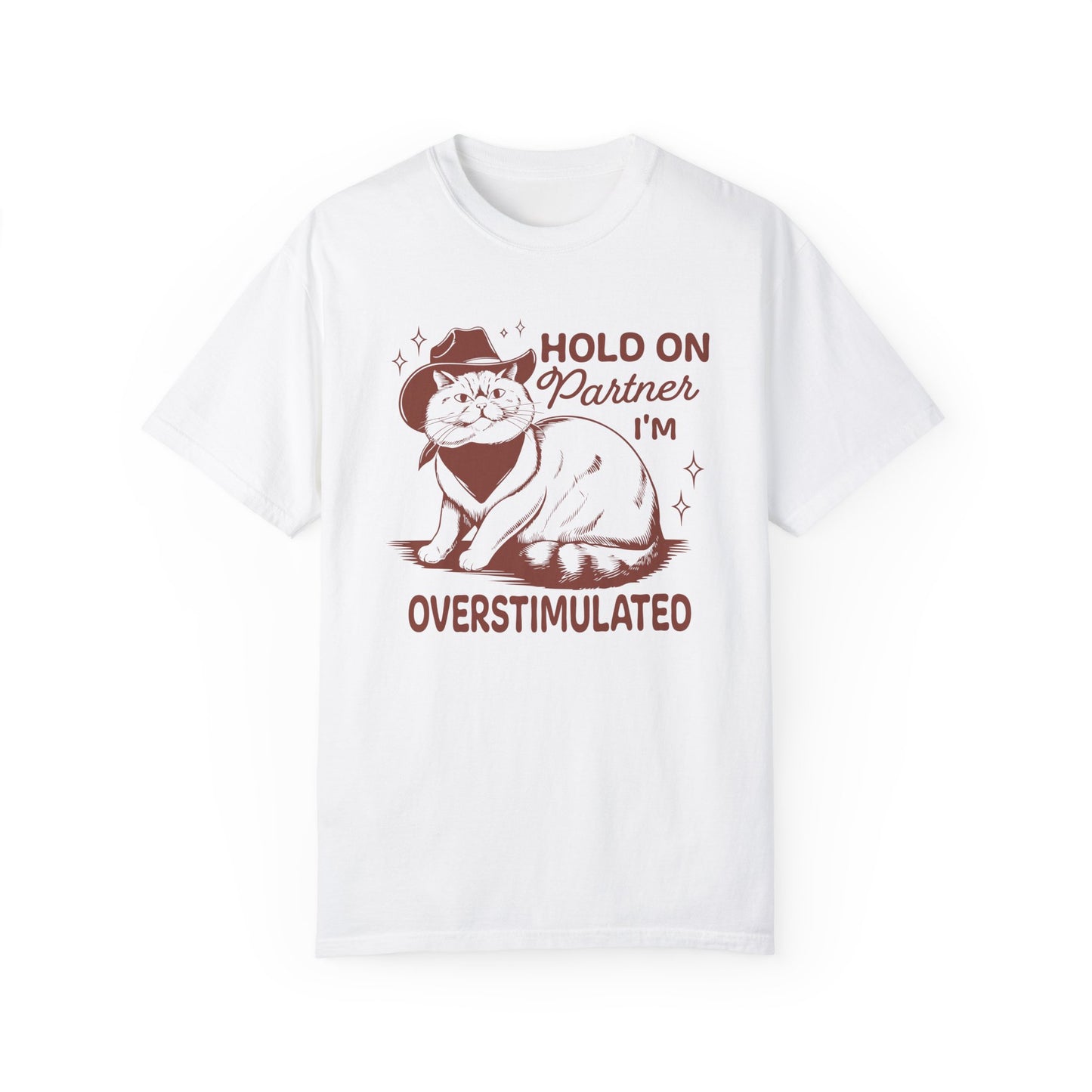 Hold On Partner I'm Overstimulated Cat T-Shirt