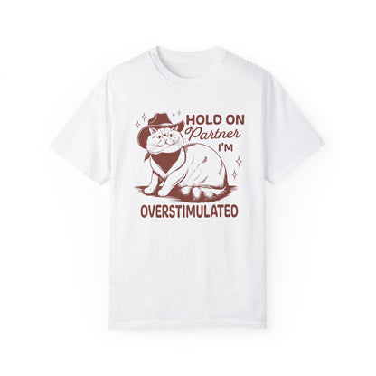 Hold On Partner I'm Overstimulated Cat T-Shirt