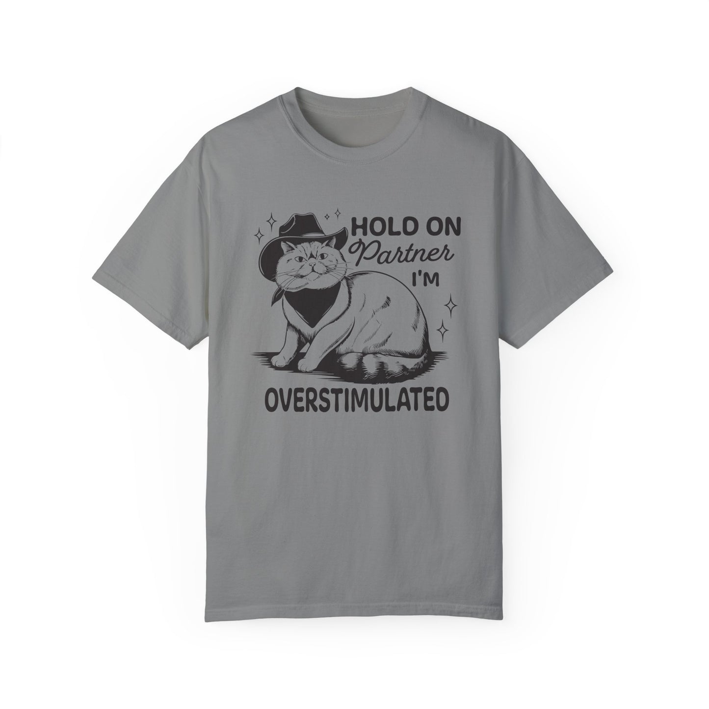 Hold On Partner I'm Overstimulated Cat T-Shirt