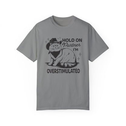 Hold On Partner I'm Overstimulated Cat T-Shirt