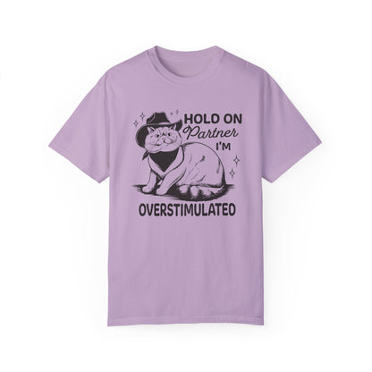 Hold On Partner I'm Overstimulated Cat T-Shirt