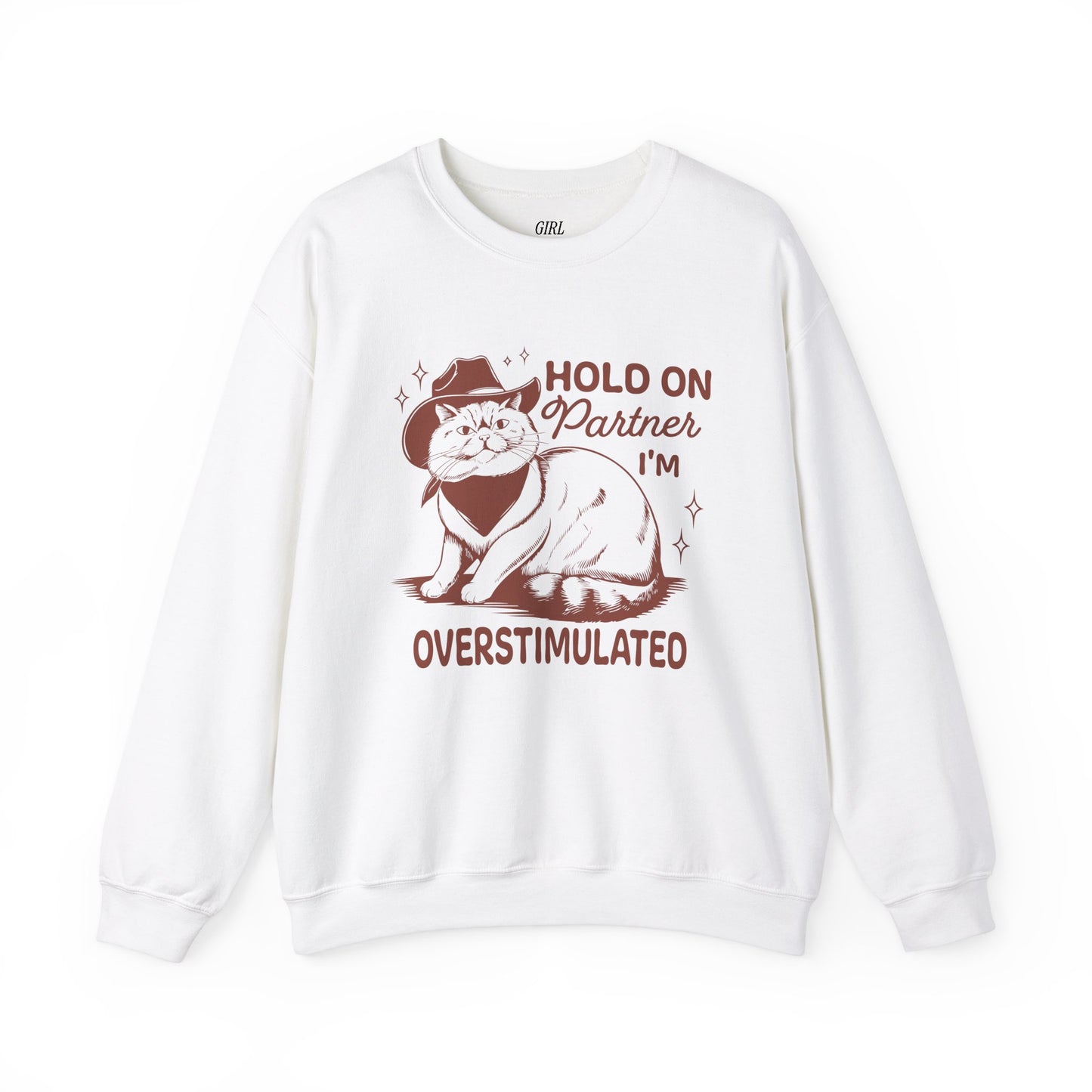 Hold On Partner I'm Overstimulated Sweater