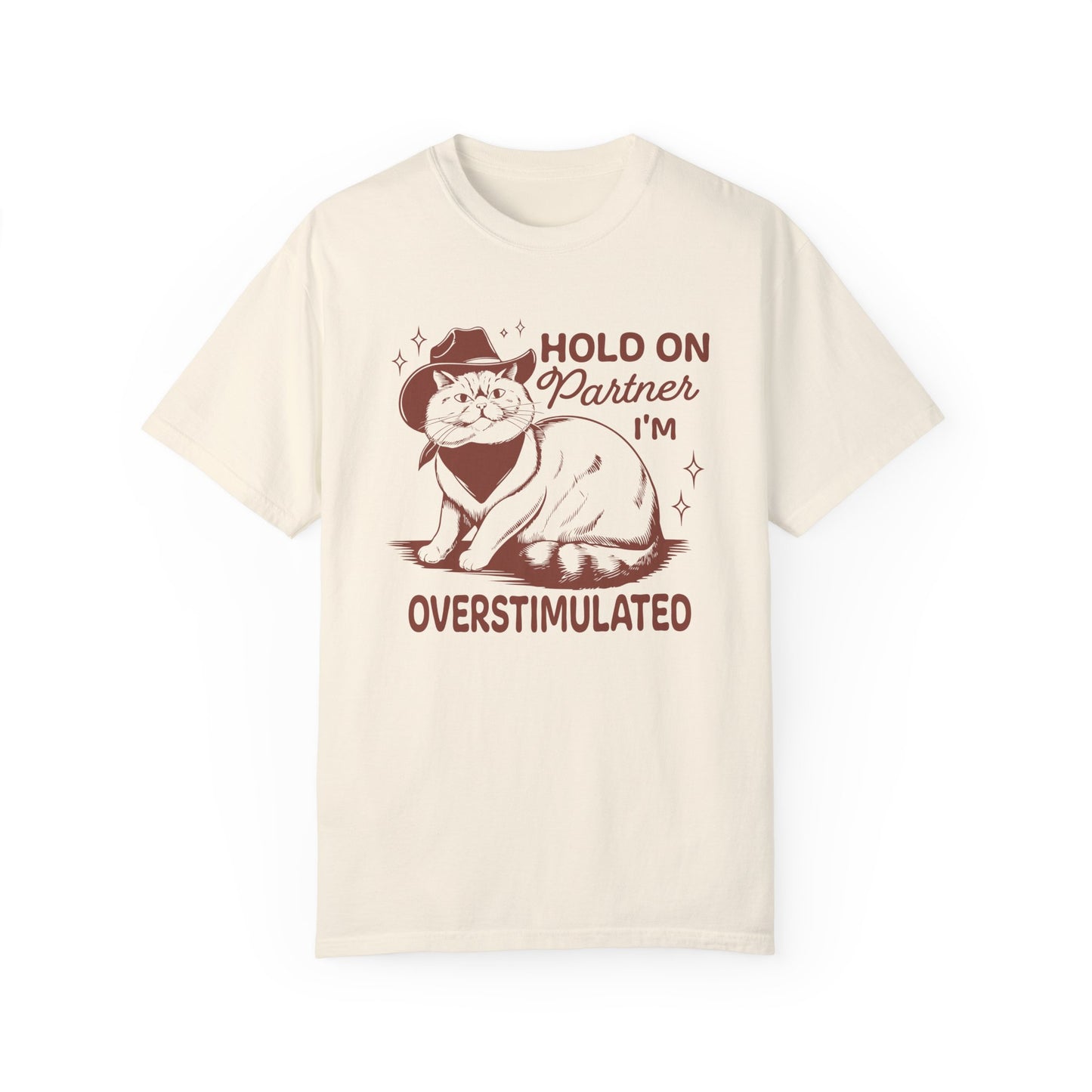 Hold On Partner I'm Overstimulated Cat T-Shirt