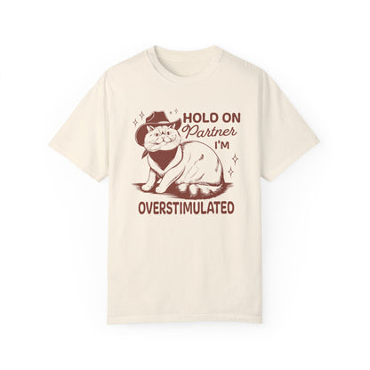 Hold On Partner I'm Overstimulated Cat T-Shirt