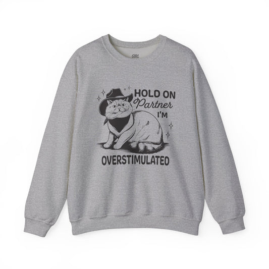 Hold On Partner I'm Overstimulated Sweater