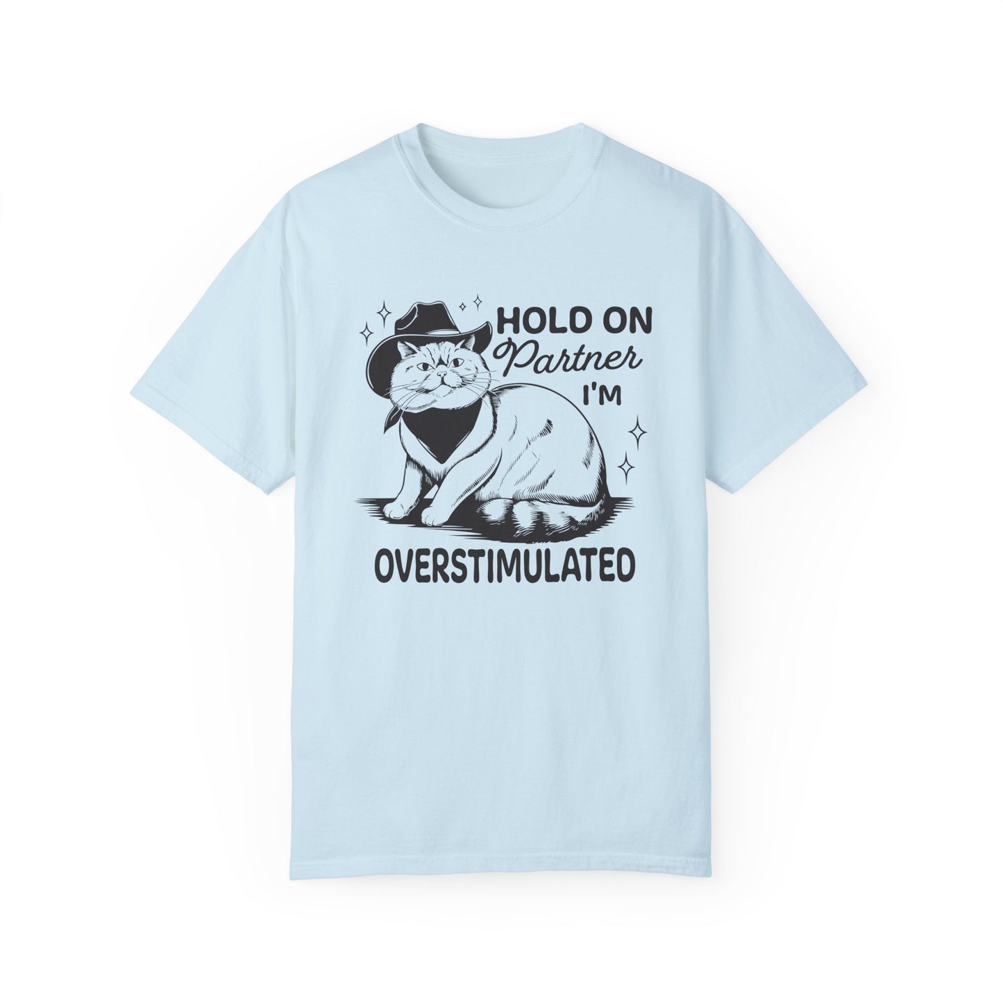 Hold On Partner I'm Overstimulated Cat T-Shirt