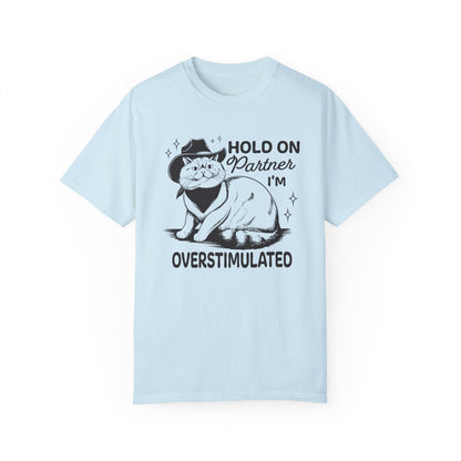 Hold On Partner I'm Overstimulated Cat T-Shirt