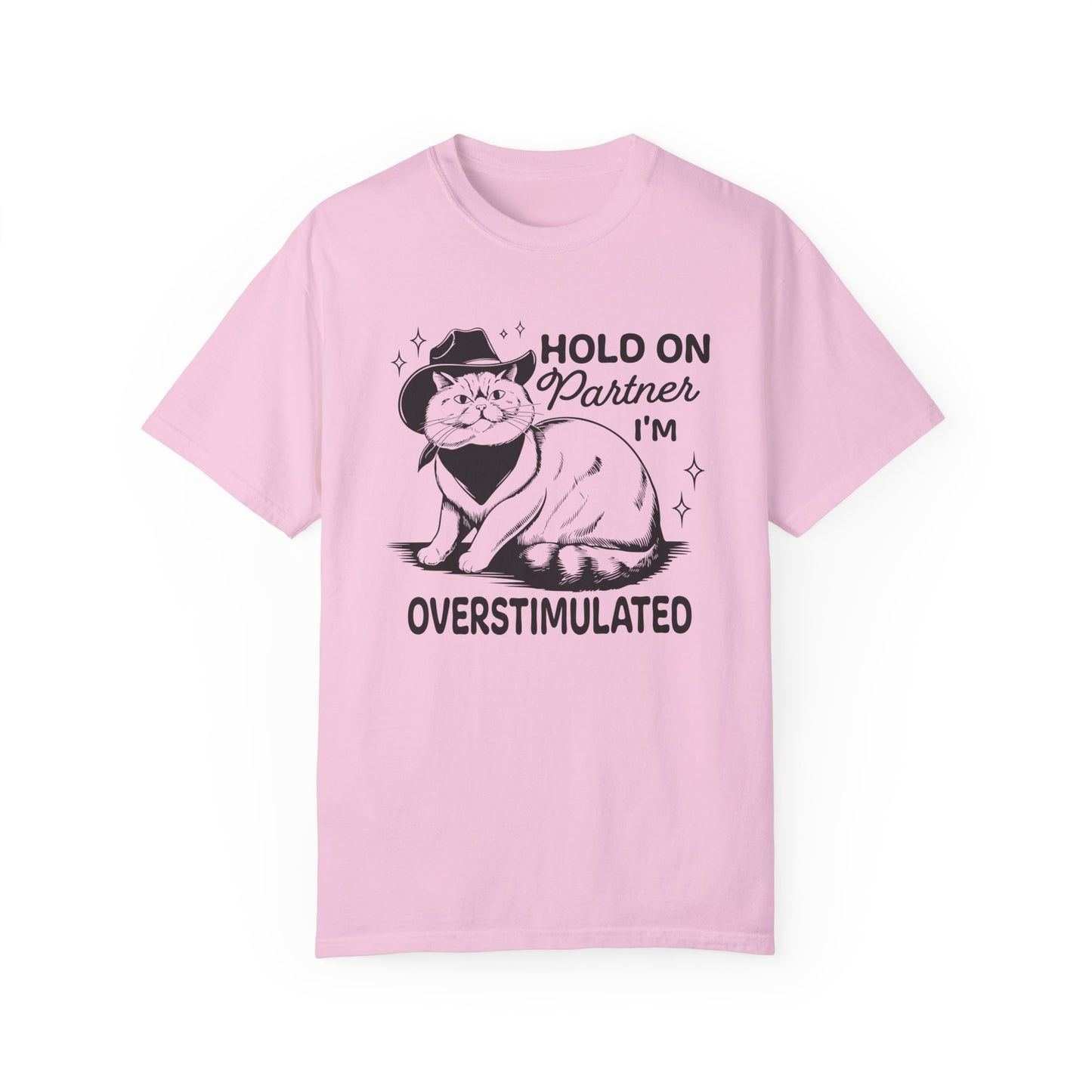 Hold On Partner I'm Overstimulated Cat T-Shirt