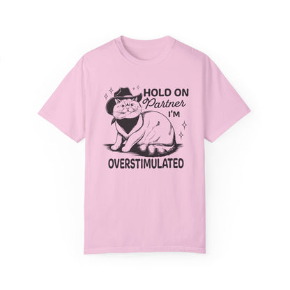Hold On Partner I'm Overstimulated Cat T-Shirt