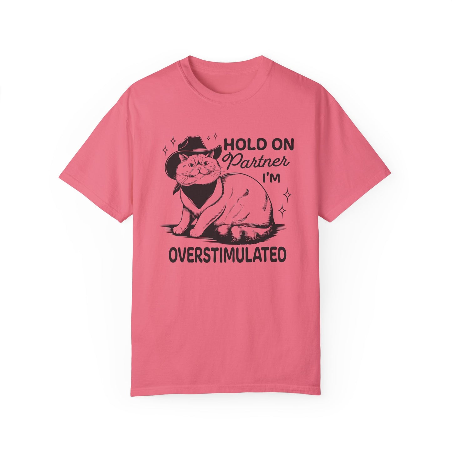 Hold On Partner I'm Overstimulated Cat T-Shirt