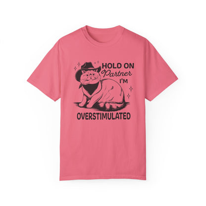 Hold On Partner I'm Overstimulated Cat T-Shirt
